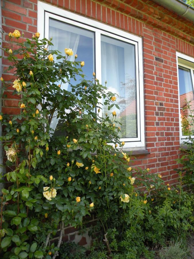 Altes Pastorenhus - Land Und Meer Osterbruch Exterior photo